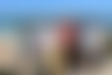 Quest to bring international surfing event to Newcastle gathers momentum