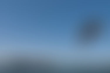 Australia Day Newcastle Harbour Swim