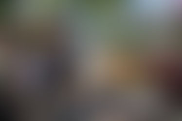 ONE KILOMETRE, ENDLESS FINDS. Morpeth's Inaugural Treasure Trail Unveiled