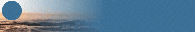 HELLO Newy_Autumn 25_Subscribe Now.gif
