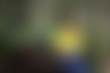 Love Lake Mac’s natural spaces? Adopt one!