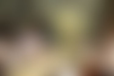 Jamala Wildlife Lodge: Conservation Through Luxury