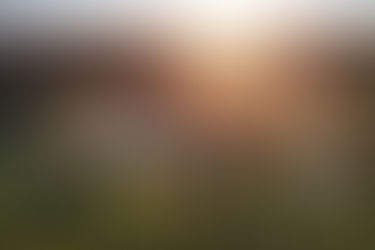 Taste the Hunter Valley: A World of Wine & Food Experiences Await You This Autumn