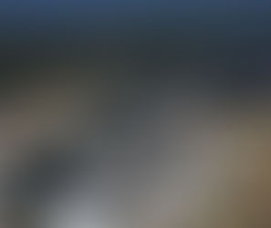 Council welcomes postponement of Eraring closure