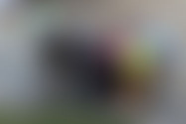 Wallsend preparing for a party 150 years in the making