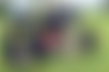 Pups put their paws up for free microchipping at Lambton Park