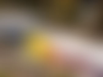 New citywide plans support growth and infrastructure delivery in Lake Macquarie