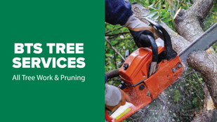 BTS TREE SERVICES