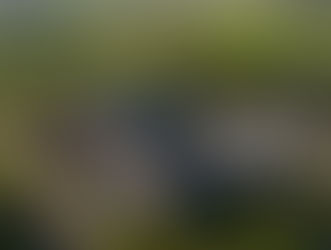 Unsustainable: Maitland Council votes to return Gaol back to NSW Government