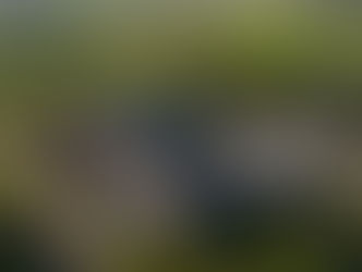 Unsustainable: Maitland Council votes to return Gaol back to NSW Government