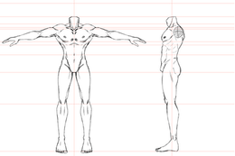 Body Base Sketch (Sauto)