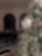 IMG_9576.jpeg