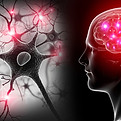 neuro-2.jpg