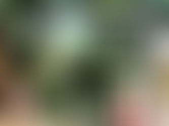 छत्तीसगढ़ PSC ने रजिस्ट्रार, डिप्टी रजिस्ट्रार, असिस्टेंट रजिस्ट्रार का रिजल्ट किया जारी, देखें लिस्ट