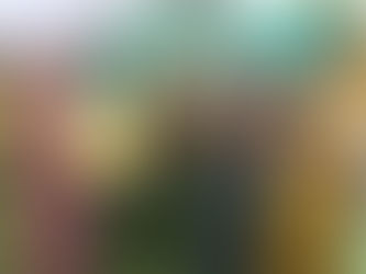 अपनी सांस्कृतिक विरासत को संभालें: छत्तीसगढ़ की लोक परंपराएं हम सभी की जिम्मेदारी हैं– रश्मि विजय शर्मा