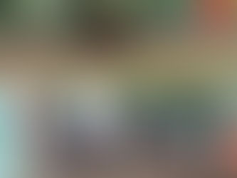 अतिक्रमण एवं अवैध जुताई करते 02 नग ट्रेक्टर जप्त किया गया