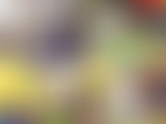 कलेक्टर महोबे, जिला पंचायत सीईओ अग्रवाल, जिला शिक्षा अधिकारी गुप्ता सहित अन्य अधिकारियों ने अपने-अपने स्कूलों में पहंचकर स्कूली विद्यार्थियों को न्यौता भोजन कराया