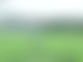 सोयाबीन कृषकों के लिए उपयोगी सलाह
