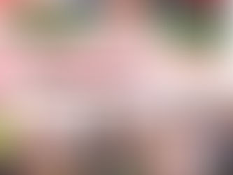 पंडरिया विधायक भावना बोहरा मुख्य अतिथि के रूप में शामिल हुईं और लाभार्थियों एवं क्षेत्रवासियों के साथ प्रधानमंत्री का संबोधन सुना