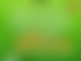 आम जनों की सहायता के लिए वन विभाग द्वारा जारी किया टोल फ्री नंबर 1800 233 7000