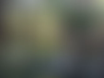 Life Is As the Bayou