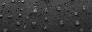moisture mitigation.gif