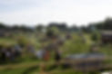 FE8A9615-53.jpg