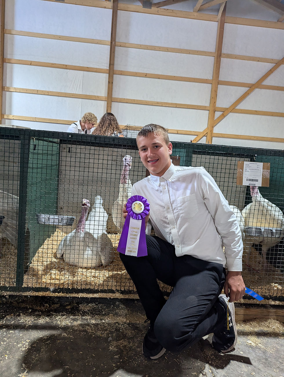 boy with champion turkey at county fair