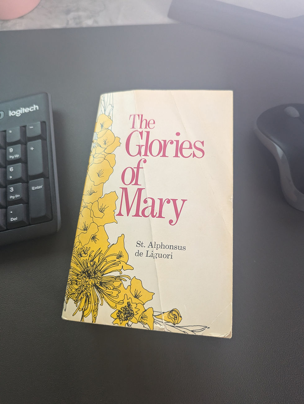 The glories of mary book by St. alphonsus de liguori