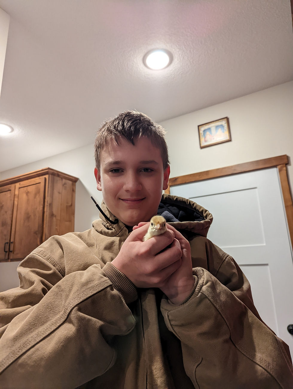 Young boy with baby turkey