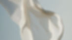 image0 (1).jpeg