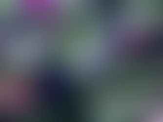 いつもありがとうございます