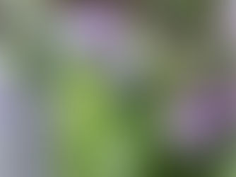 贅沢プレートになりました。。