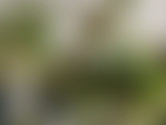 お花のスタイル、流行、王道からみる、視点を持つということ