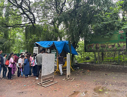 WhatsApp Image 2025-08-13 at 17.31.53_3d5cca6d.jpg