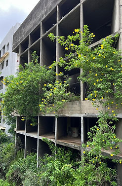 WhatsApp Image 2025-08-20 at 05.59.21_b564ea2c.jpg