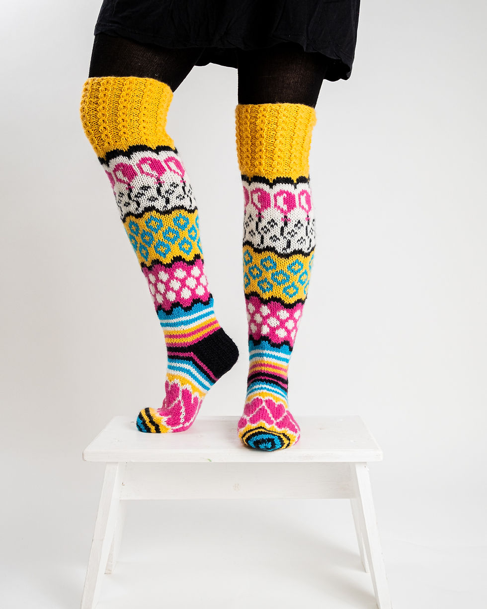 Pikkukuva: Ilonsukat