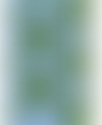 SullaVikat, Perholaiset 12