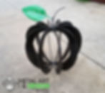 Thumbnail: Apple