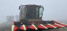 IMG_2413.JPG