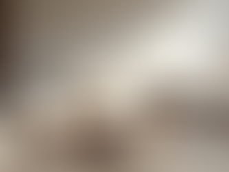 Dónde Comprar Sofás de Lujo en Línea: Guía para Transformar tu Hogar