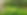 photos (1).png