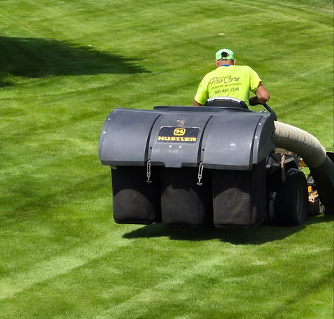 contact us today (3).png