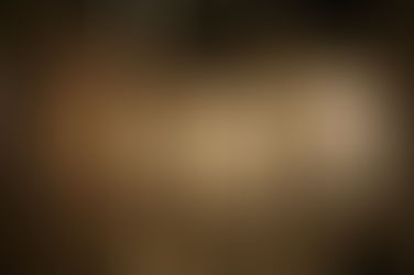 ‘’ Il VIAGGIO NEL TEMPO" DI DOMENICO CARACENI