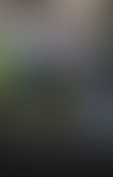 "A PRANZO LA DOMENICA"