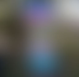 AL VIA IL PROGETTO A.R.C.A. DELLO ZOO DI NAPOLI