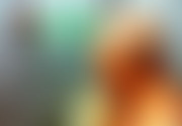 PULIAMO IL MONDO EDIZIONE 2017