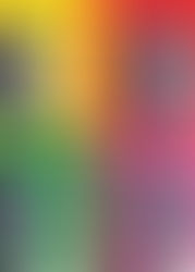 L'AFFAIRE CASATI STAMPA