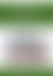 NICOLA ANGELO PEZZONI ARTISTA A 360°