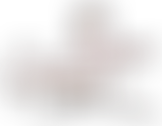 "DON PEPPE" CONSEGNA UN ASSEGNO ALLA "FONDAZIONE G.PASCALE"